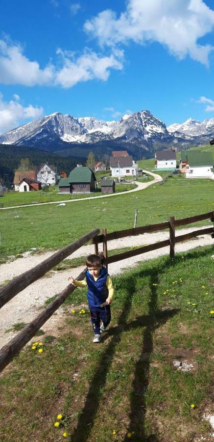 Chalet Hill Zabljak Ngoại thất bức ảnh
